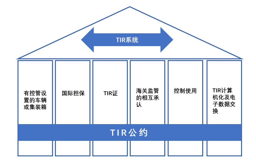 TIR1 TIR1